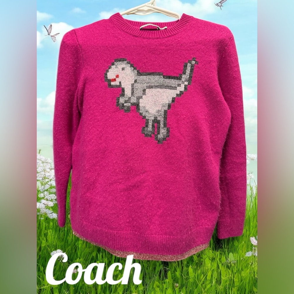 Coach Rexy Crewneck Wool & Cashmere Hot Pink Sweater with glitter bottom rim